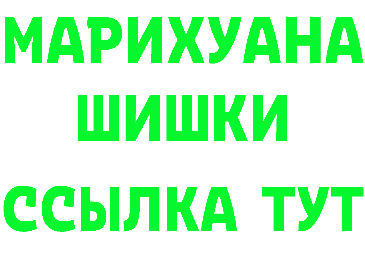 ГАШ Premium вход это МЕГА Нововоронеж